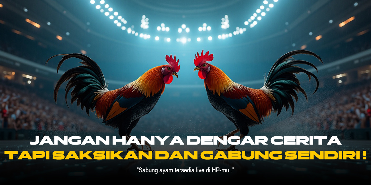 Mengenal Jenis Ayam Aduan Unggulan di SV388 Sabung Ayam